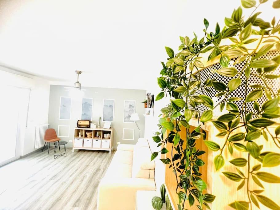 Suite Colibri - Sanremo Centro Exterior photo